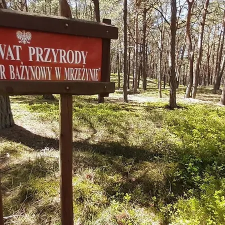 アパート Morze I