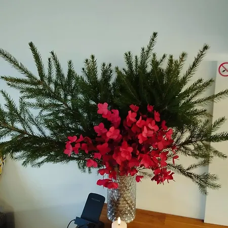 Morze I アパート *